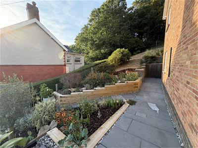 Picture 29